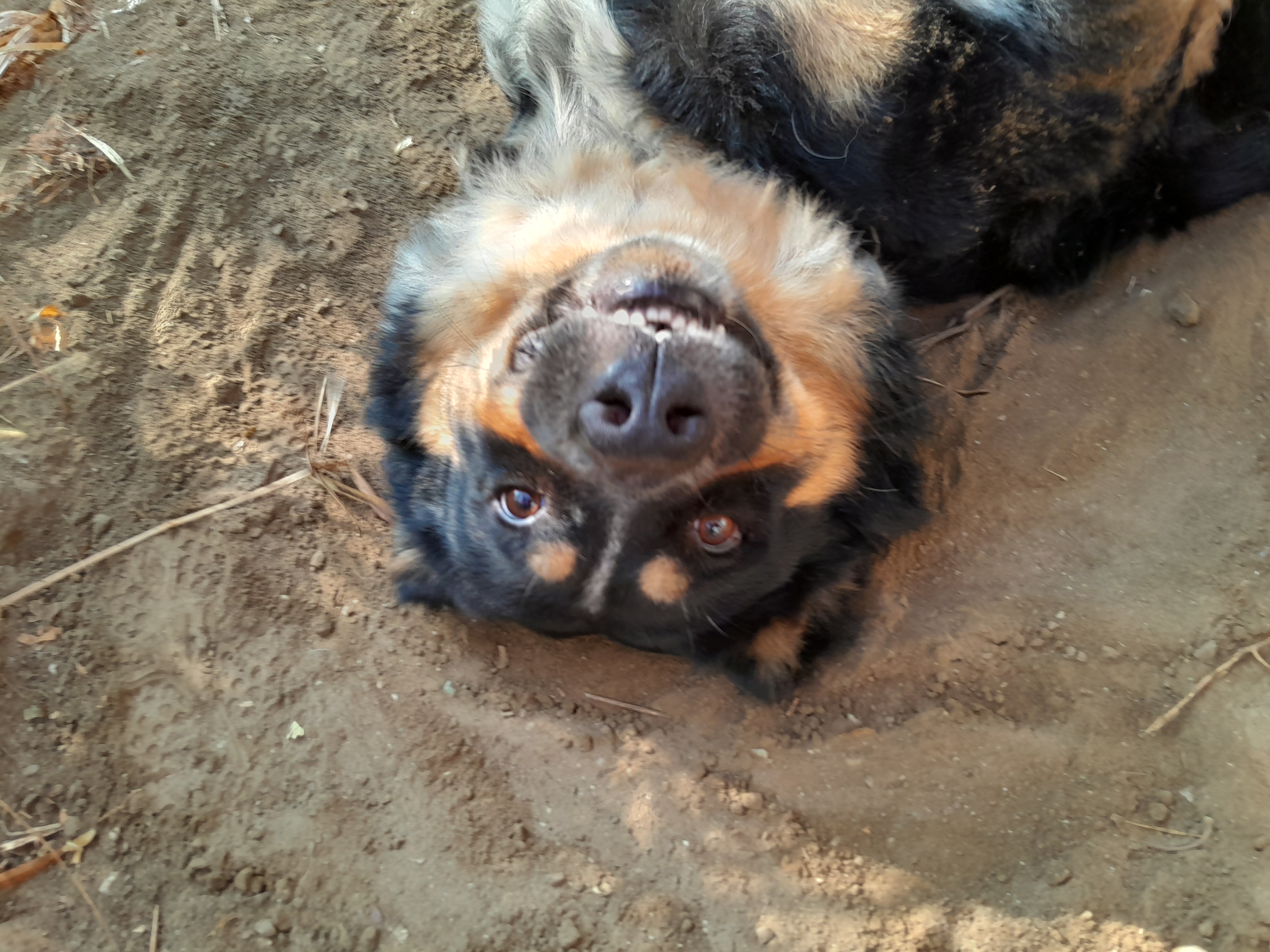 A photo of Beis doing a scary smile