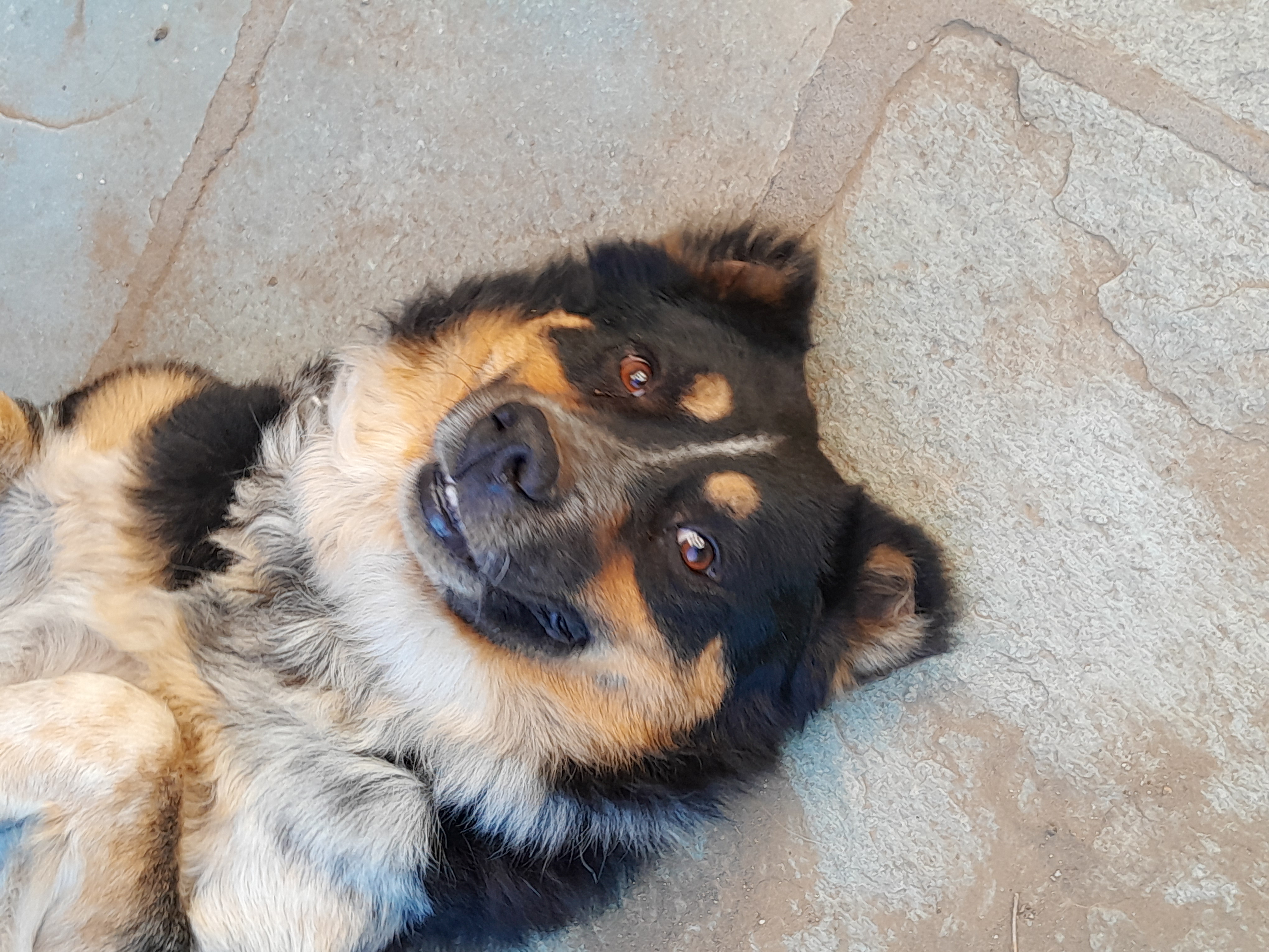 A photo of Beis doing a cute smile