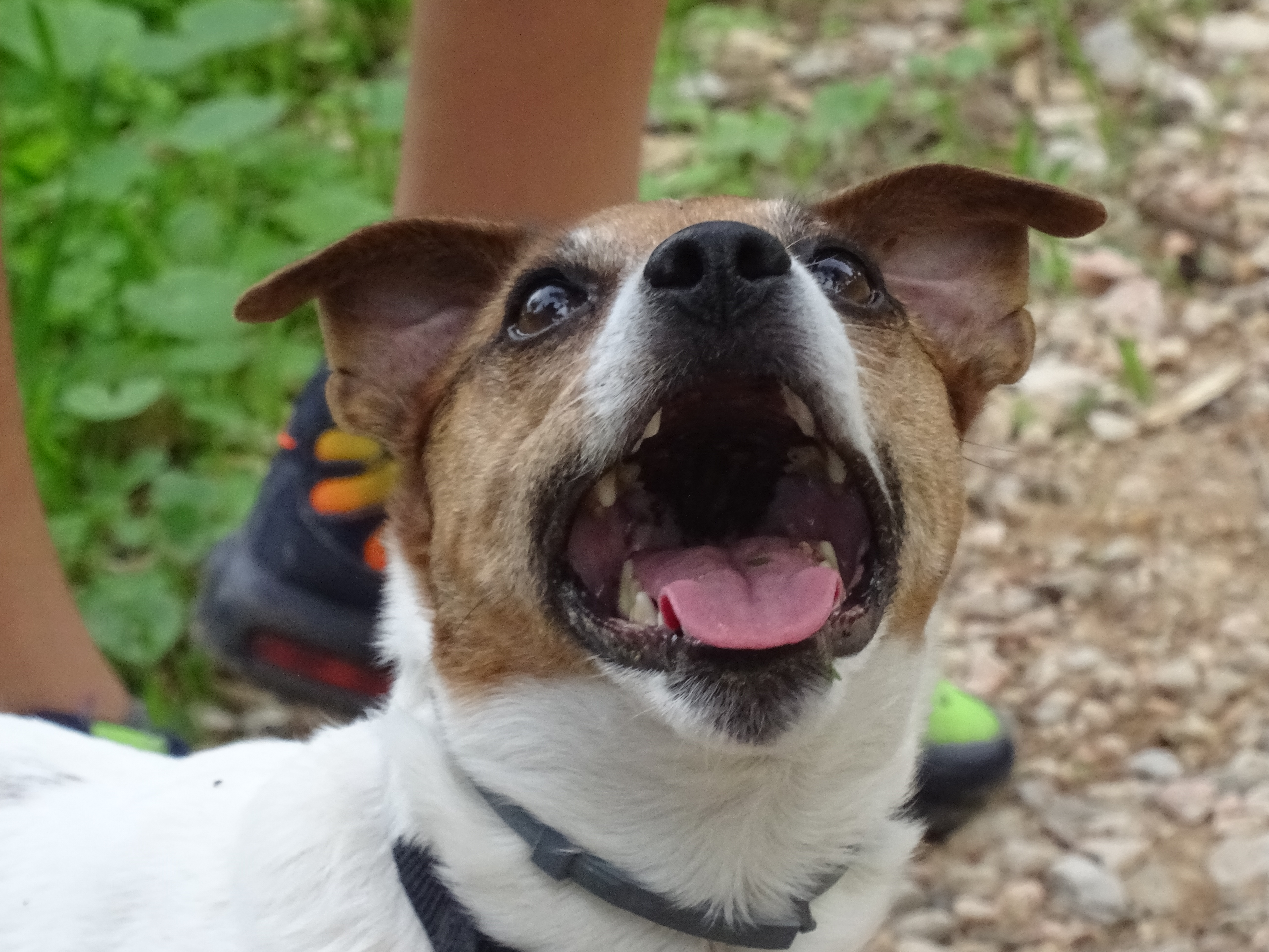 A photo of Manou smiling